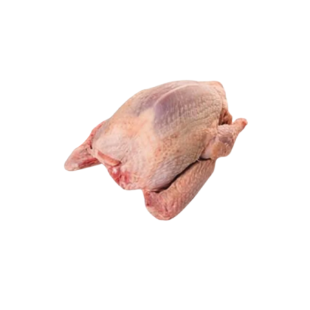 Frozen Pigeon, O/R, Head Off   法國急凍去頭鴿  Caille De Chanteloup