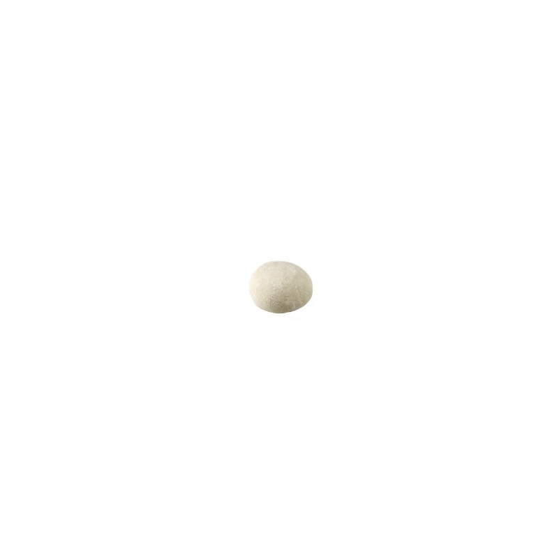 Pizza Dough
