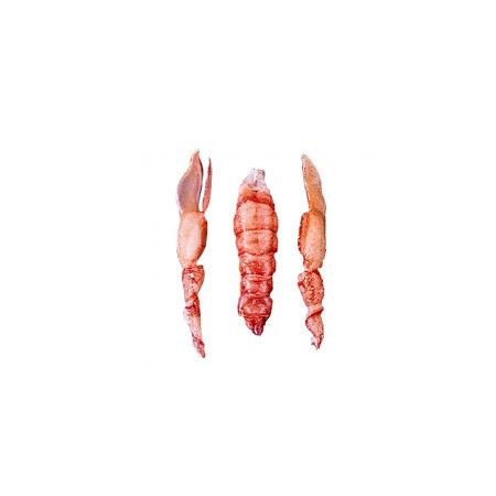 Frozen European Lobsters Tails And Claws  Cinq Degrés Ouest