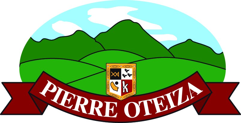 Pierre Oteiza